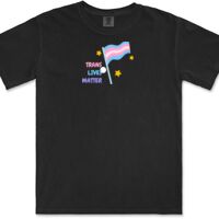 Gildan Adult Comfort Colours Tee Thumbnail